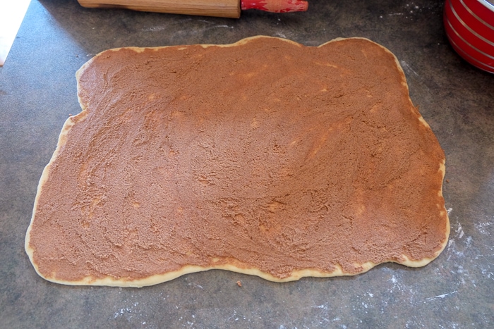 flattened dough rectangle with cinnamon and sugar