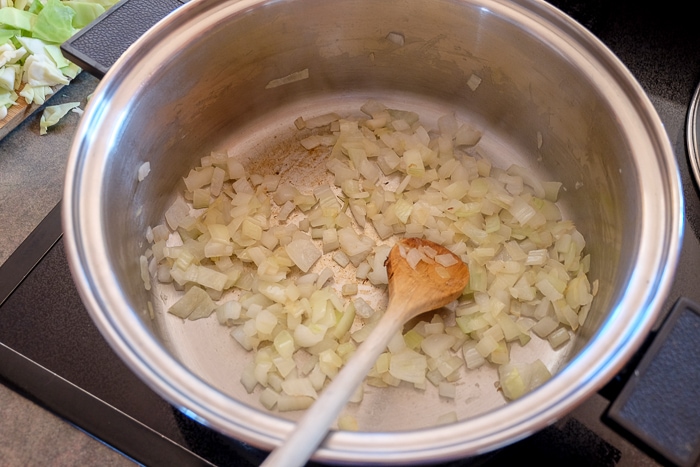 chopped onions in metallic pot on stove top