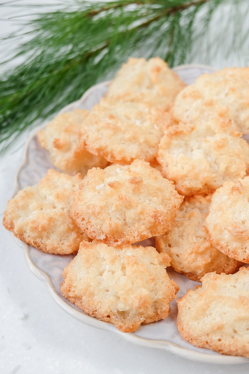 light coconut macaroons on plate with pine branch behind
