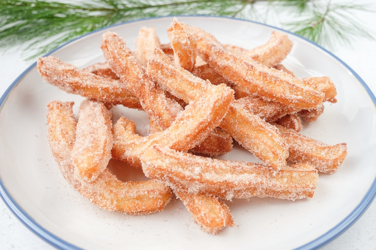 crispy spanish churros on blue and white plate with branch behind