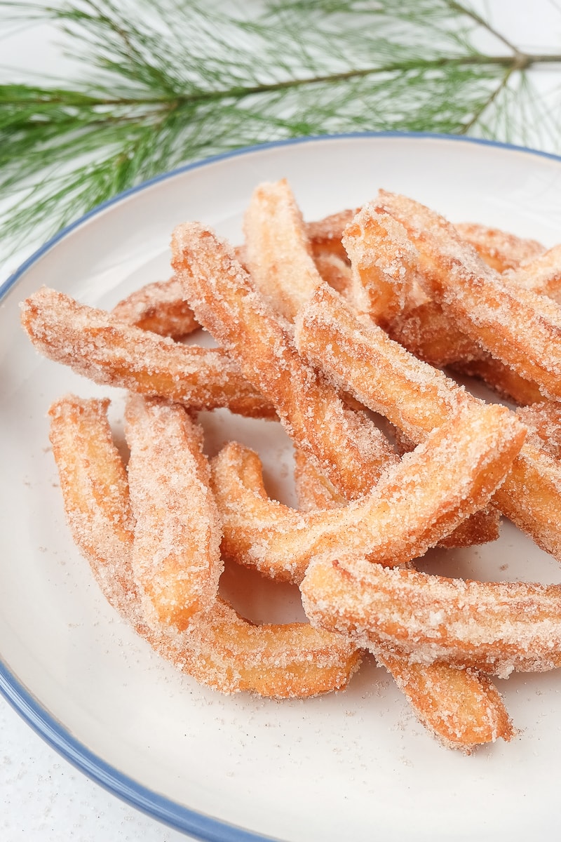 fried spanish churros on plate with branch behind
