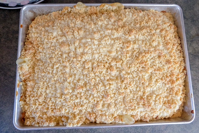 baked vanilla pudding cake with crumbs in silver baking pan
