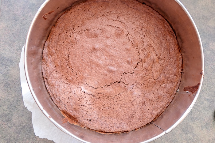 cooked swedish chocolate cake in round springform pan on counter
