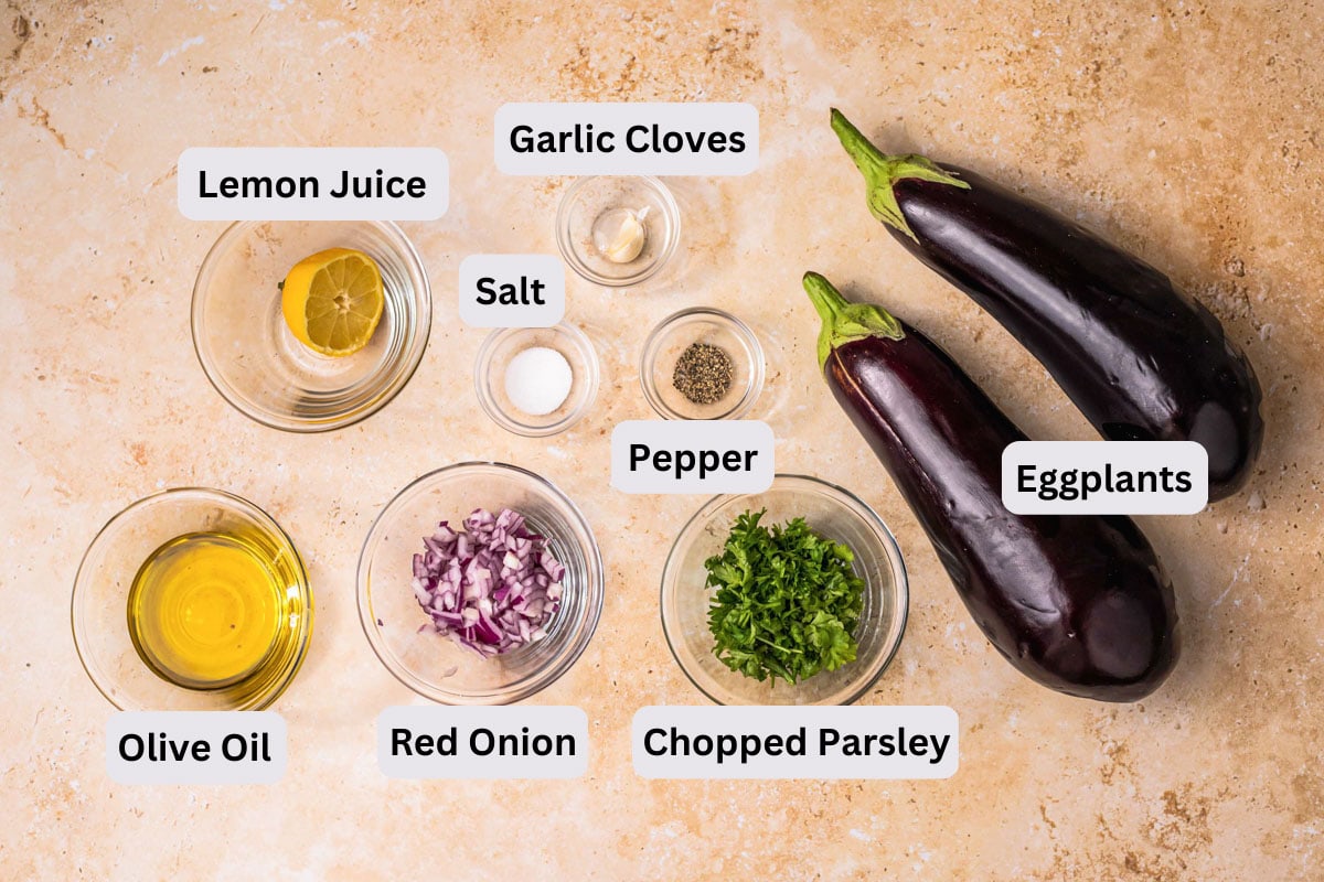 ingredients to make eggplant dip on counter in bowls with labels.