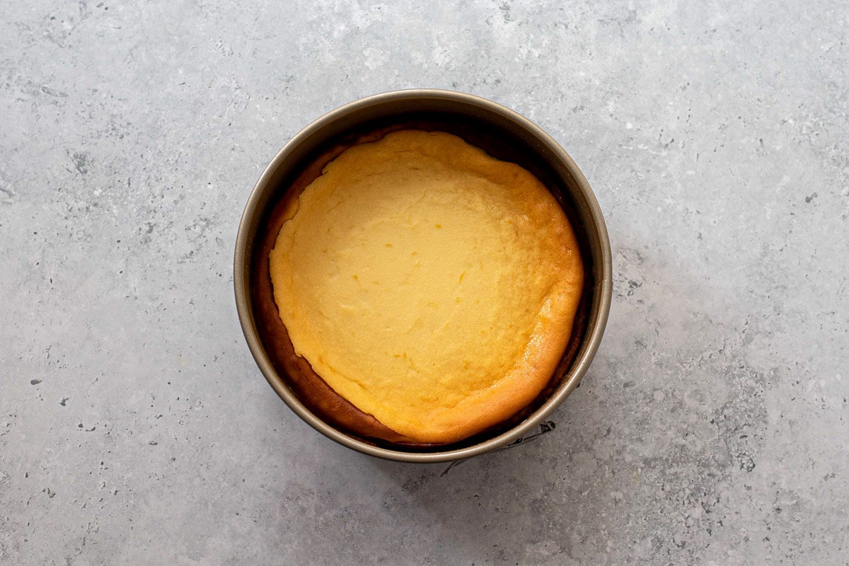 baked cheesecake in round springform pan sitting on counter.
