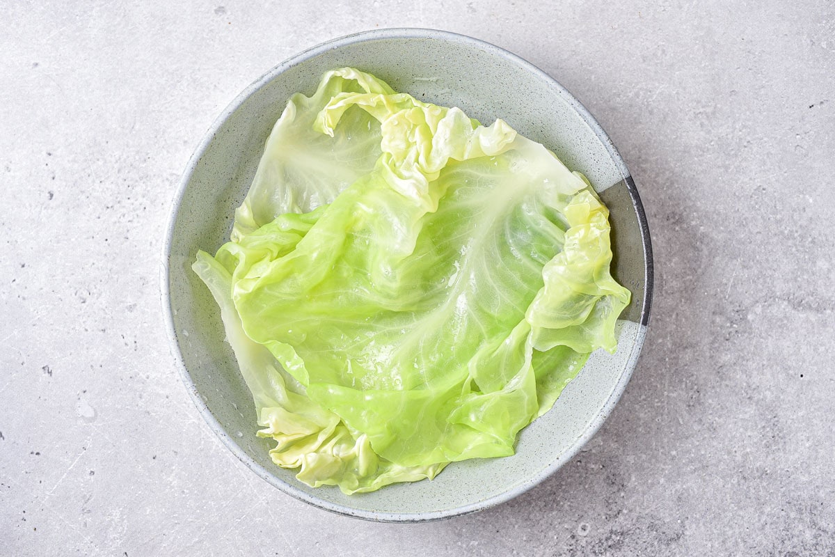 boiled green cabbage leaf on large plate on counter.