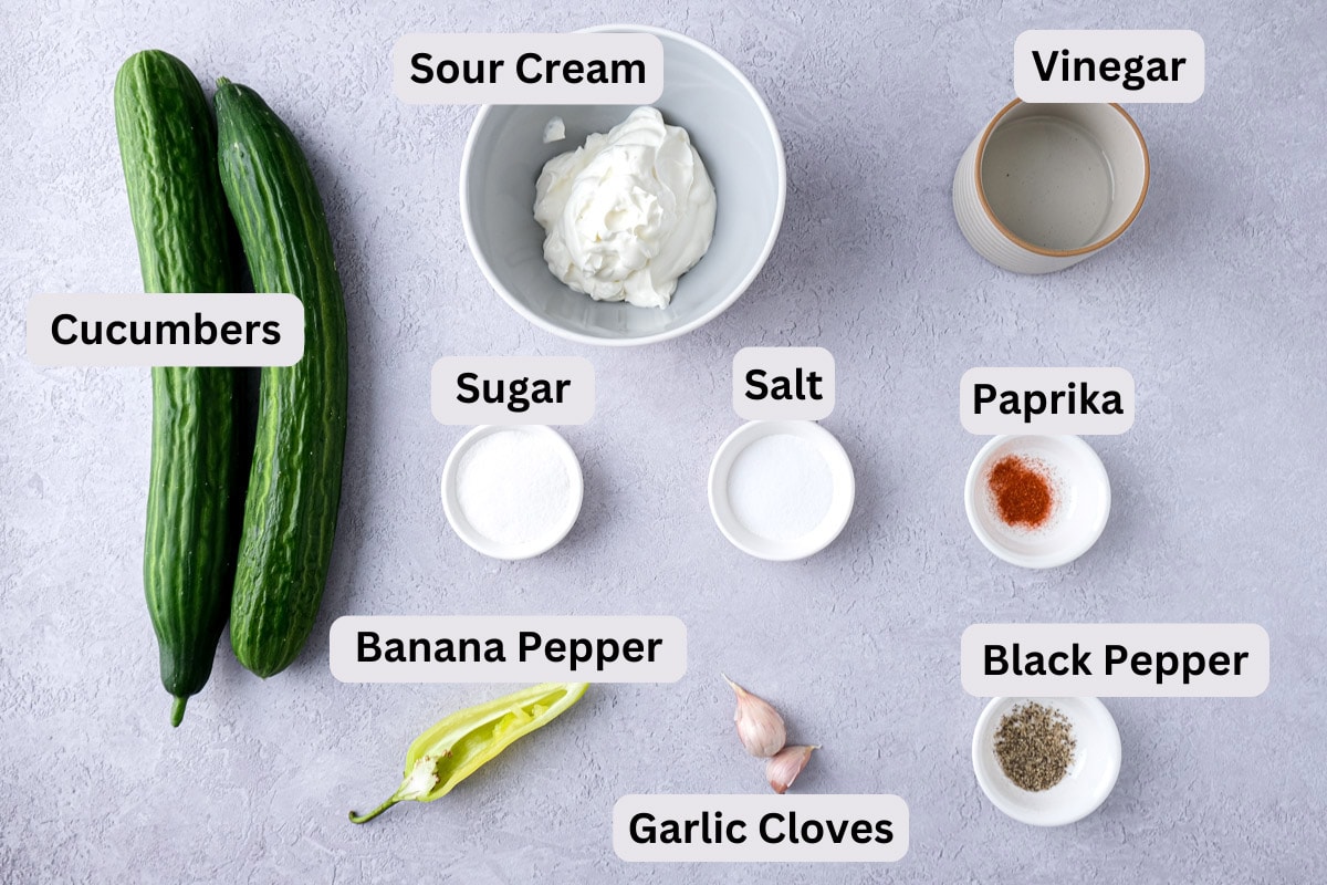 ingredients on counter to make cucumber salad seen from above with labels.