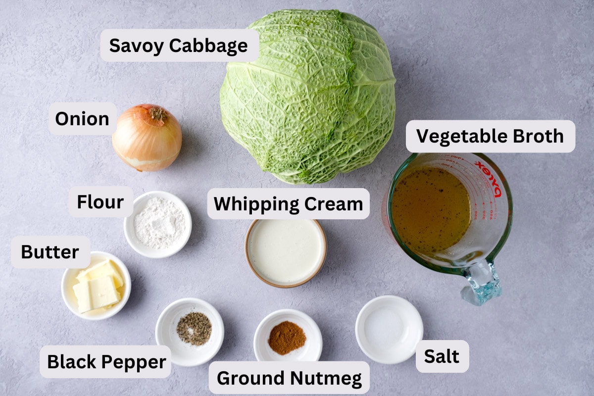 ingredients on counter to make german creamed cabbage in bowls with labels.