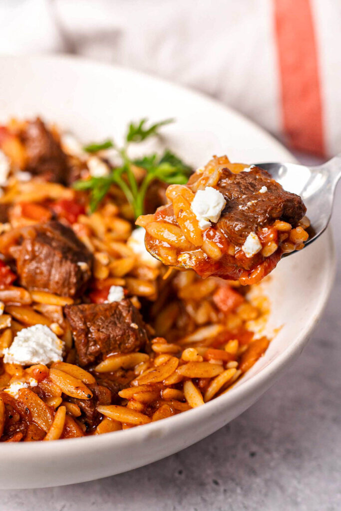 spoon with beef and orzo stew on it with bow of food behind.