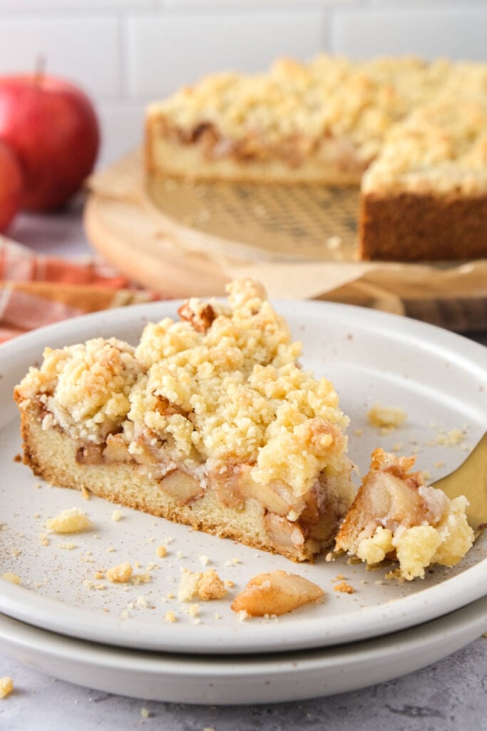 slice of german apple cake on plate with whole cake behind on counter.